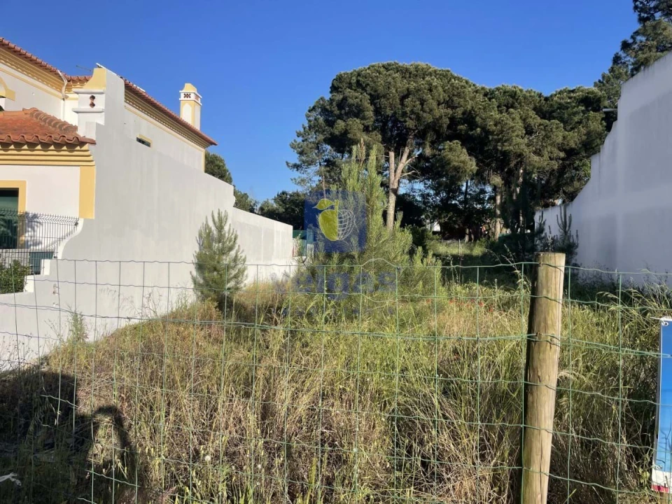 Terreno para Venda em Azeitão (São Lourenço e São Simão) Foto 7
