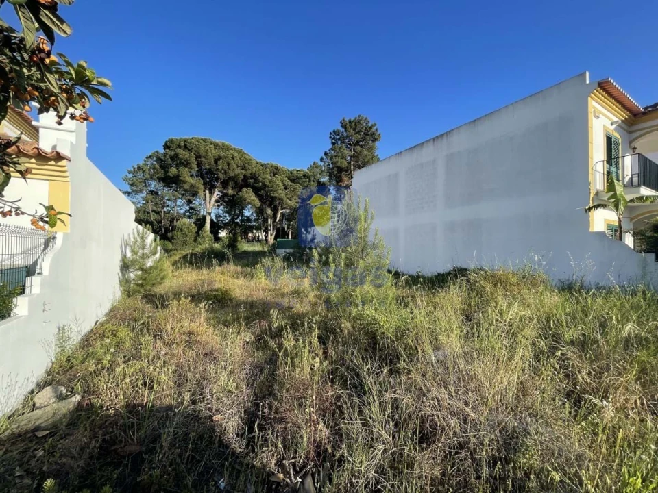 Terreno para Venda em Azeitão (São Lourenço e São Simão) Foto 1