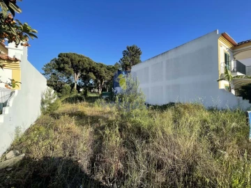 Terreno para Venda em Azeitão (São Lourenço e São Simão)