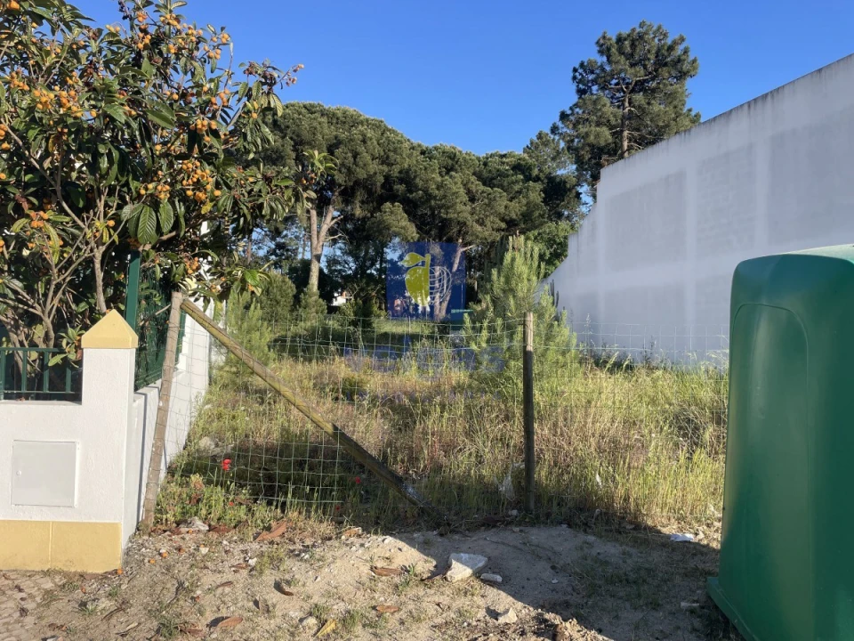 Terreno para Venda em Azeitão (São Lourenço e São Simão) Foto 5