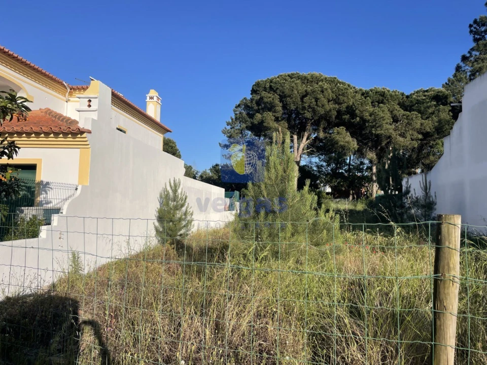 Terreno para Venda em Azeitão (São Lourenço e São Simão) Foto 11