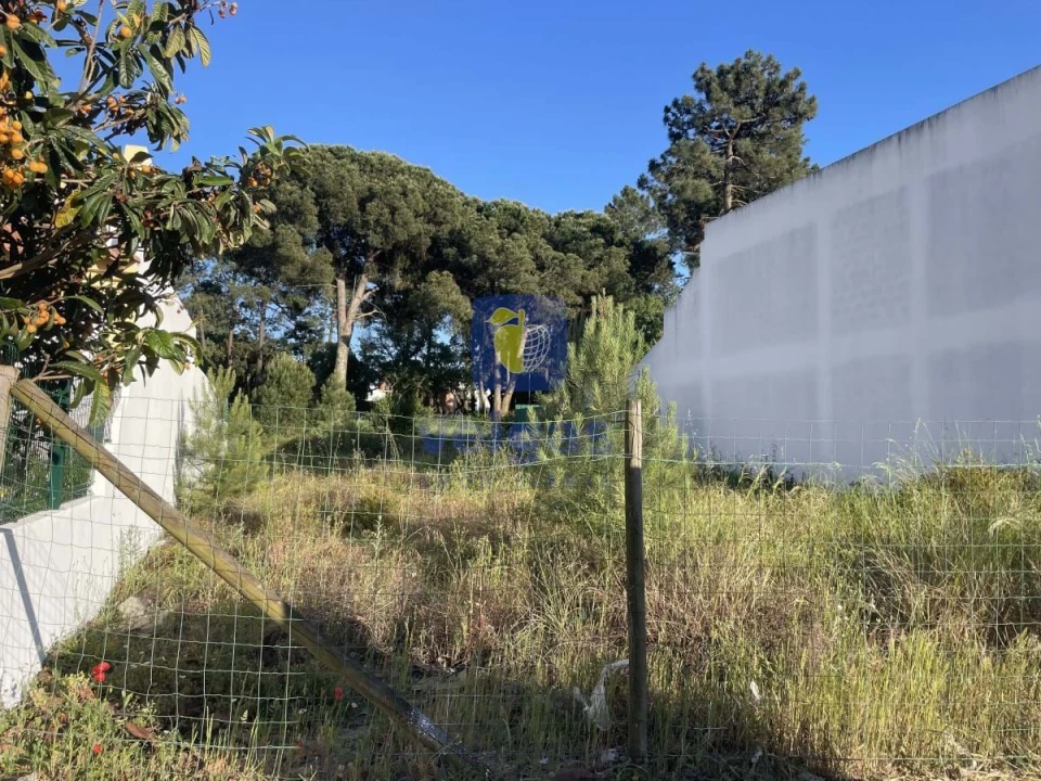 Terreno para Venda em Azeitão (São Lourenço e São Simão) Foto 6