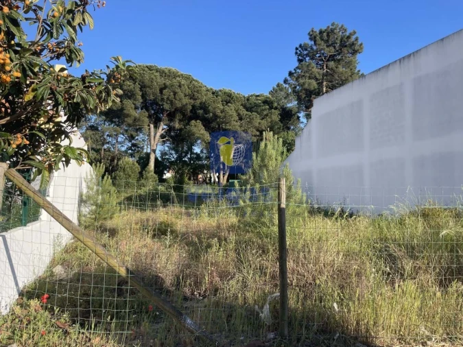 Terreno para Venda em Azeitão (São Lourenço e São Simão) Foto 6