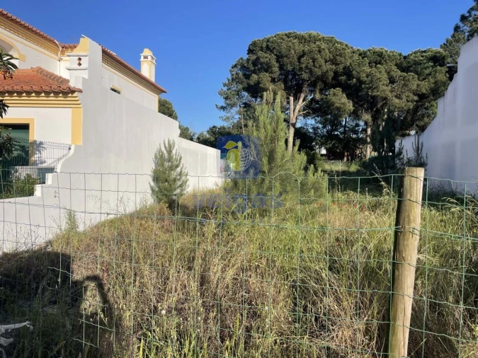 Terreno para Venda em Azeitão (São Lourenço e São Simão) Foto 8