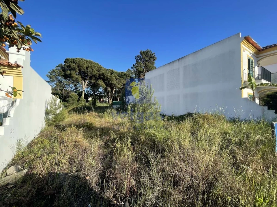 Terreno para Venda em Azeitão (São Lourenço e São Simão) Foto 3