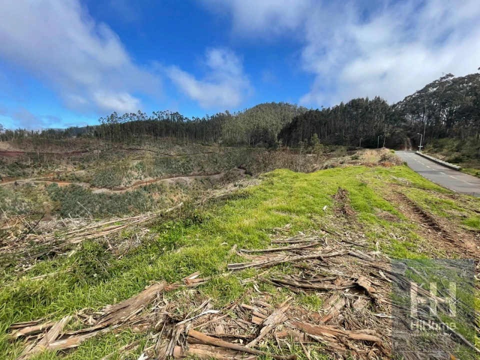 Terreno Agricola ou Rústico para Venda em Campanario Foto 3
