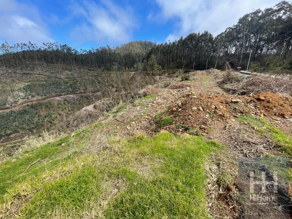 Terreno Agricola ou Rústico para Venda em Campanario Foto 6