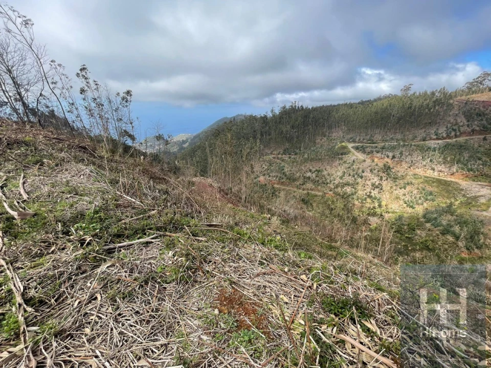 Terreno Agricola ou Rústico para Venda em Campanario Foto 7