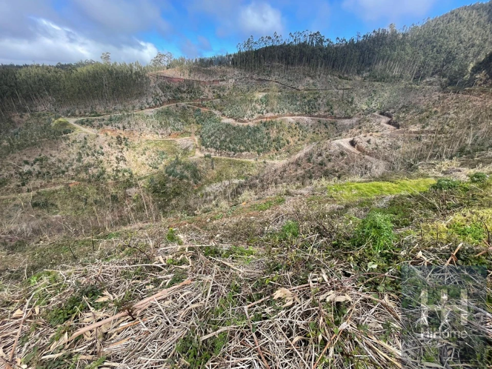 Terreno Agricola ou Rústico para Venda em Campanario Foto 8