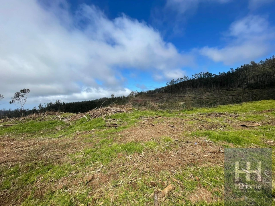 Terreno Agricola ou Rústico para Venda em Campanario Foto 9