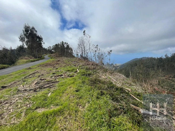 Terreno Agricola ou Rústico para Venda em Campanario Foto 4