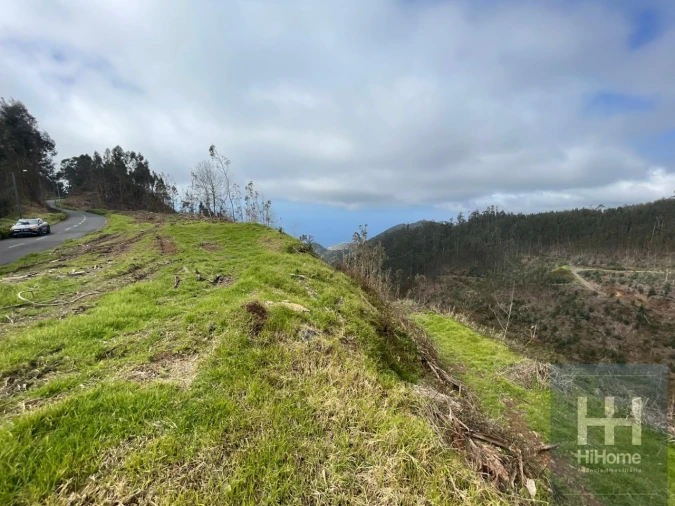 Terreno Agricola ou Rústico para Venda em Campanario Foto 5