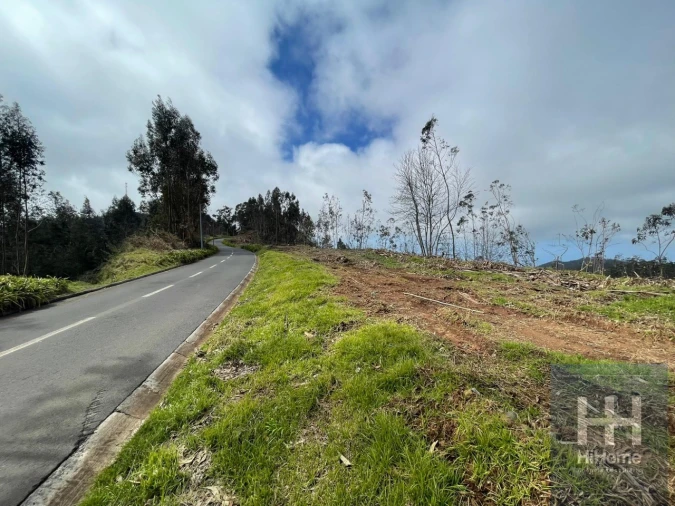 Terreno Agricola ou Rústico para Venda em Campanario Foto 10