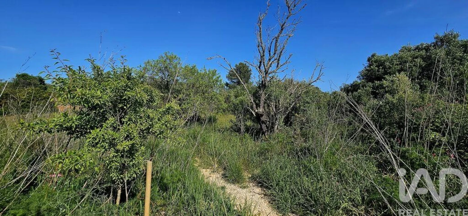 Terreno para Venda em Bensafrim e Barão de São João Foto 3