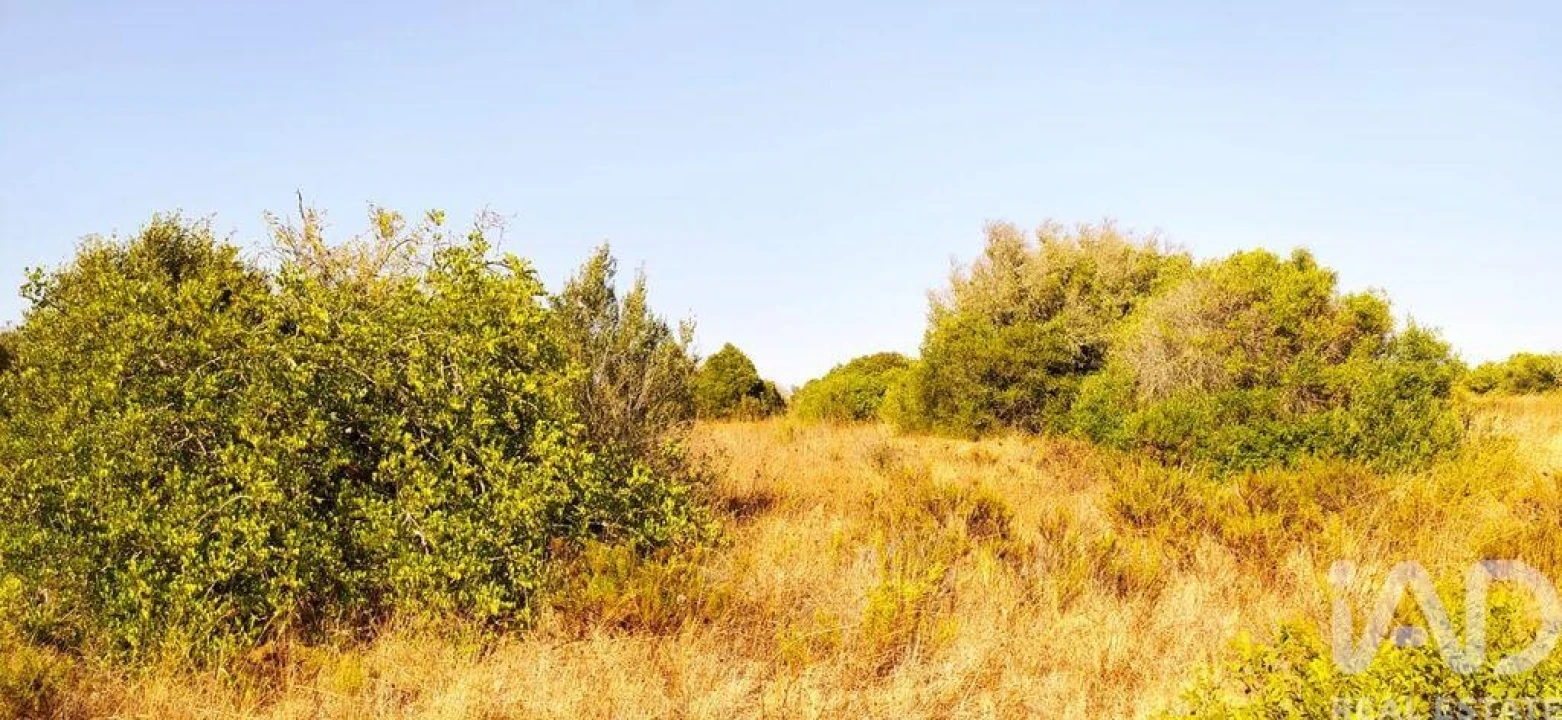 Terreno para Venda em Bensafrim e Barão de São João Foto 21