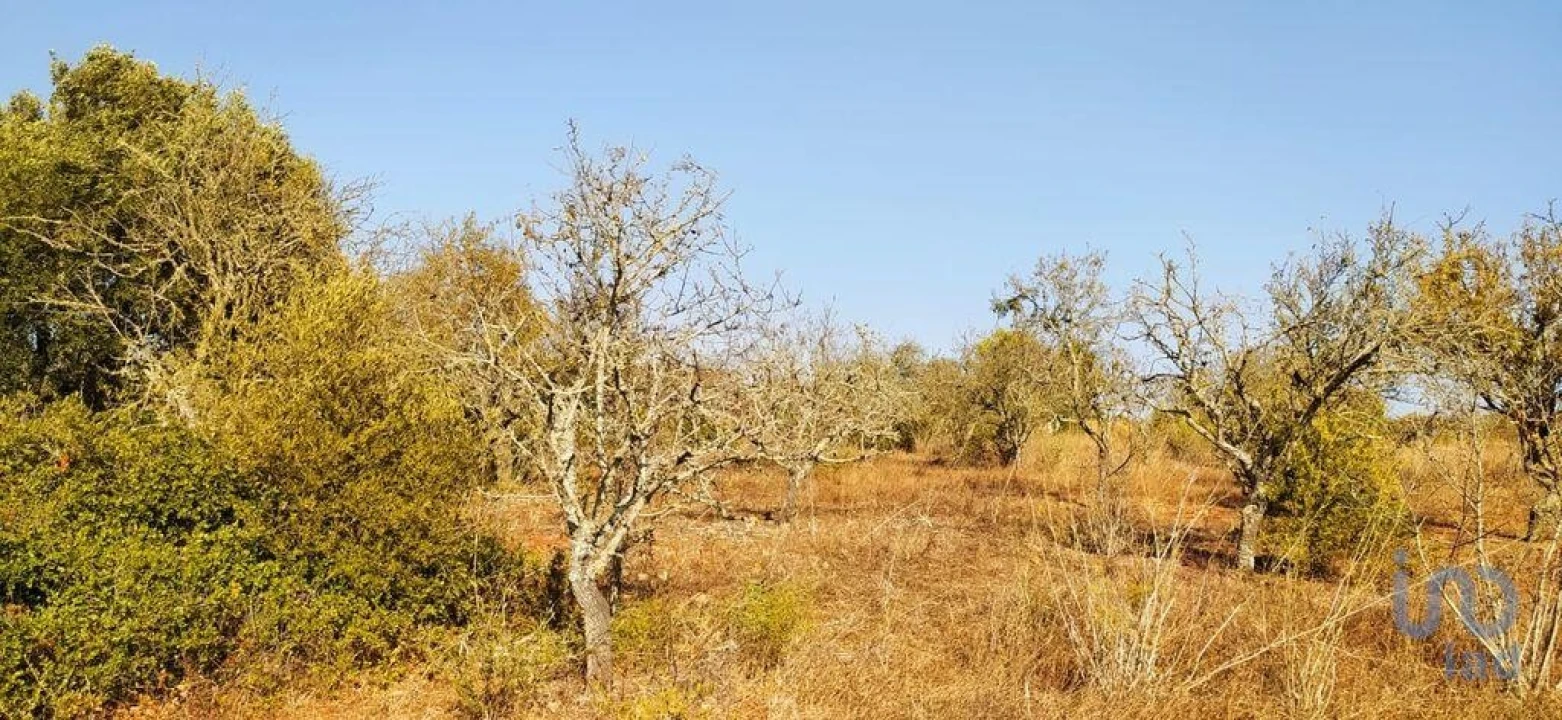 Terreno para Venda em Bensafrim e Barão de São João Foto 14