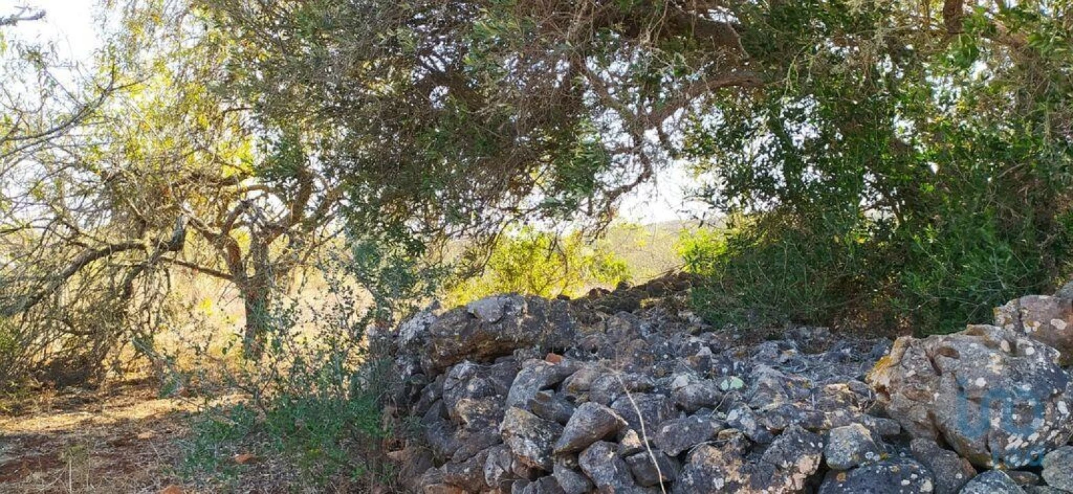 Terreno para Venda em Bensafrim e Barão de São João Foto 13
