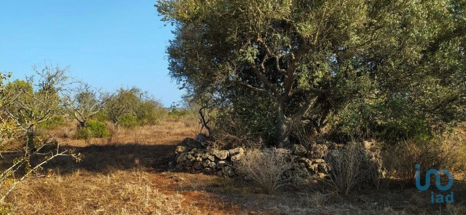 Terreno para Venda em Bensafrim e Barão de São João Foto 2