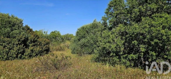 Terreno para Venda em Bensafrim e Barão de São João