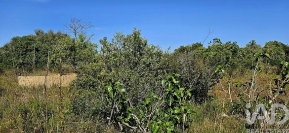 Terreno para Venda em Bensafrim e Barão de São João