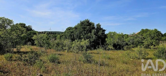 Terreno para Venda em Bensafrim e Barão de São João