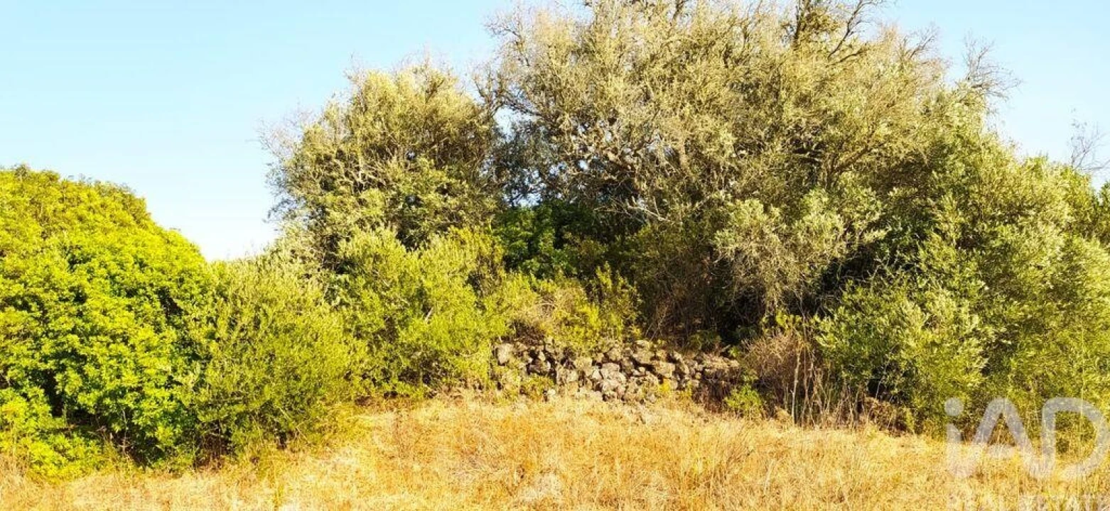 Terreno para Venda em Bensafrim e Barão de São João Foto 18