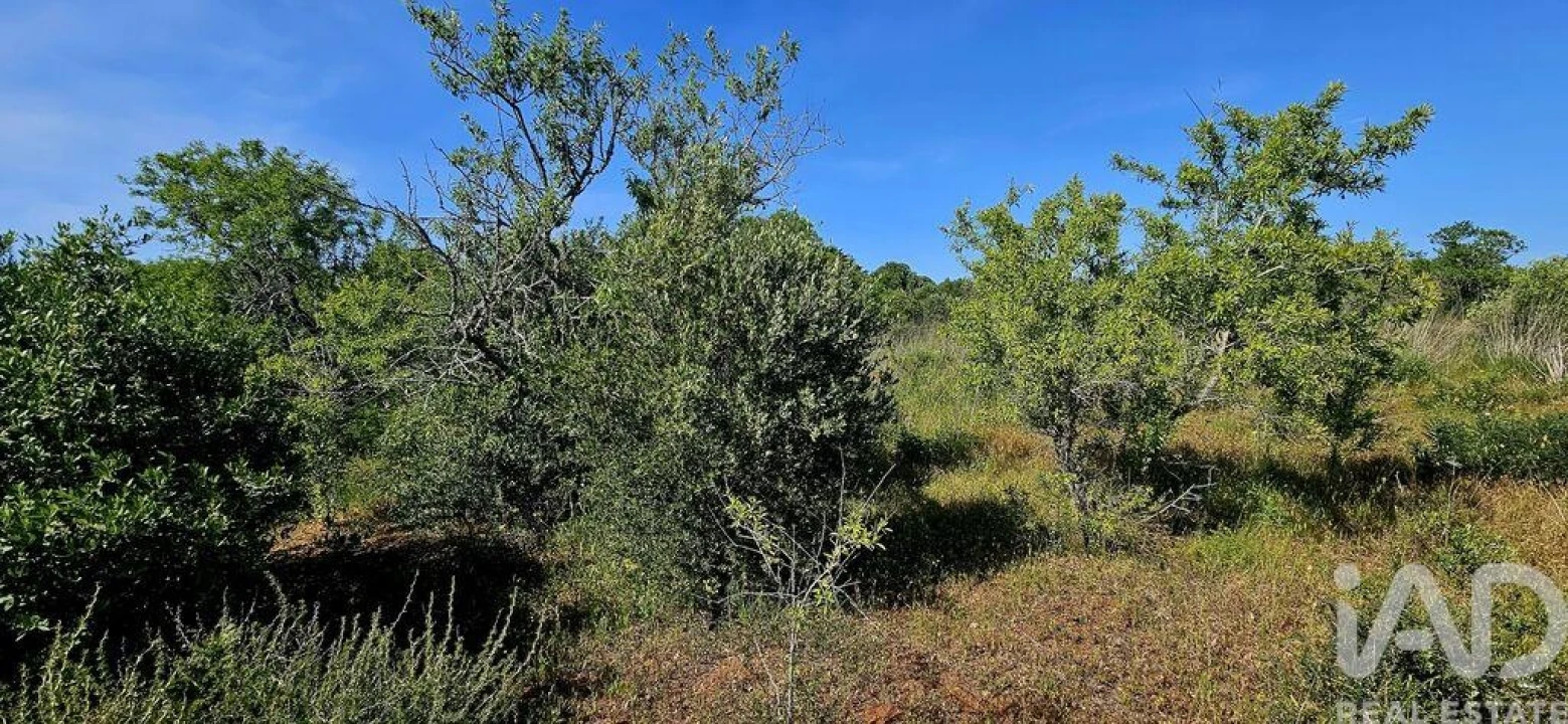 Terreno para Venda em Bensafrim e Barão de São João Foto 13