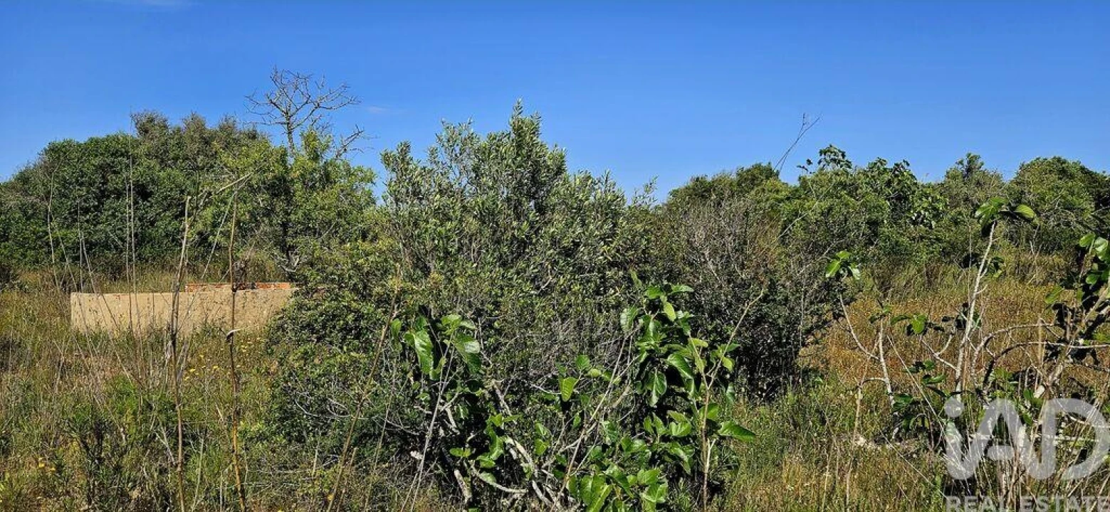 Terreno para Venda em Bensafrim e Barão de São João Foto 2