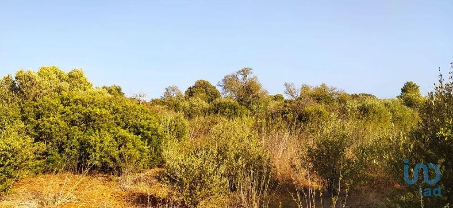Terreno para Venda em Bensafrim e Barão de São João Foto 5