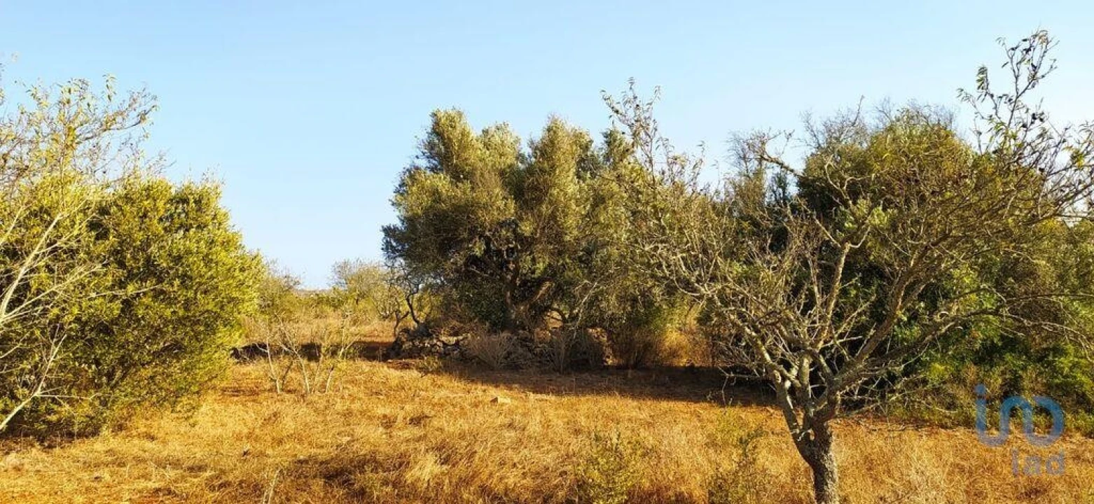 Terreno para Venda em Bensafrim e Barão de São João Foto 8