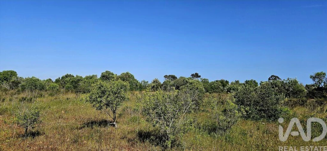 Terreno para Venda em Bensafrim e Barão de São João Foto 19