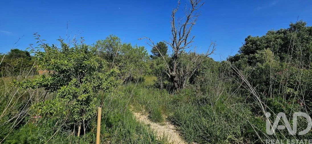 Terreno para Venda em Bensafrim e Barão de São João Foto 3