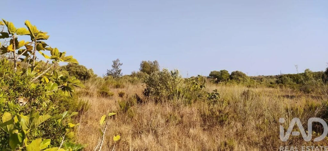 Terreno para Venda em Bensafrim e Barão de São João Foto 22