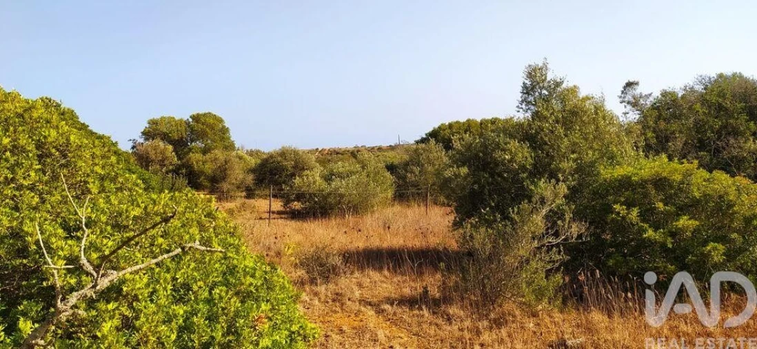Terreno para Venda em Bensafrim e Barão de São João Foto 24