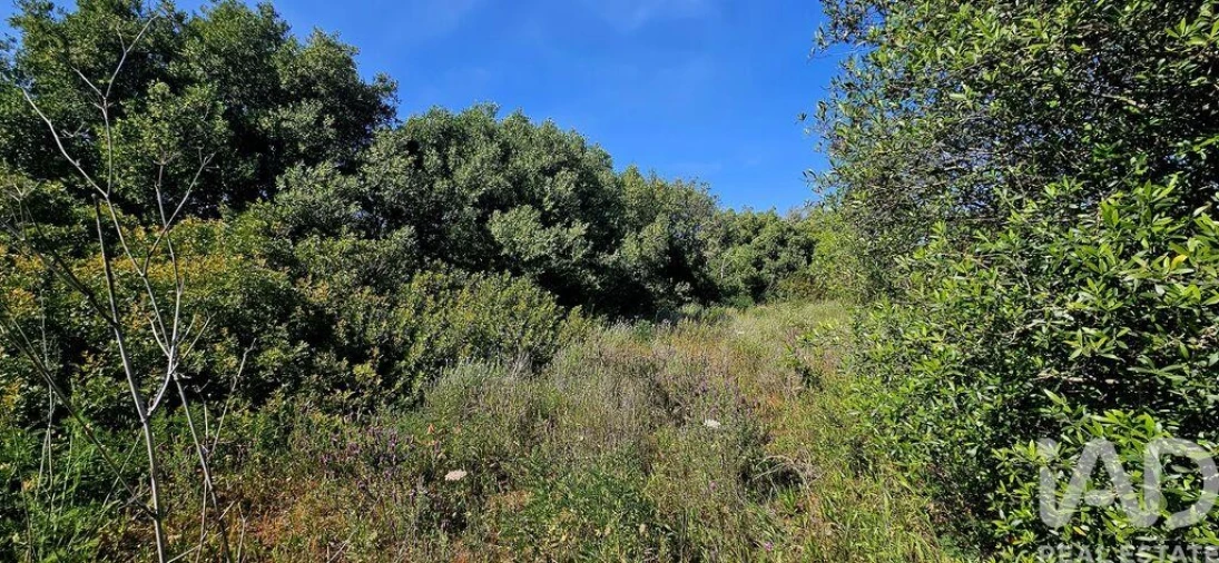 Terreno para Venda em Bensafrim e Barão de São João Foto 12