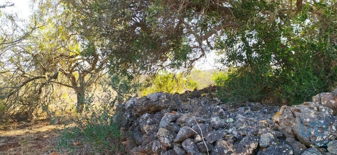 Terreno para Venda em Bensafrim e Barão de São João Foto 13