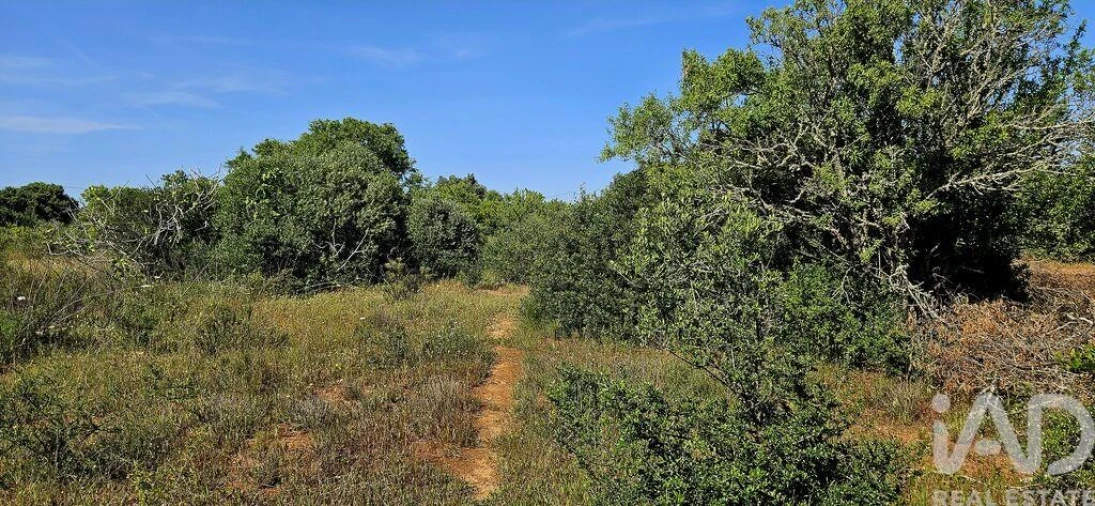 Terreno para Venda em Bensafrim e Barão de São João Foto 16