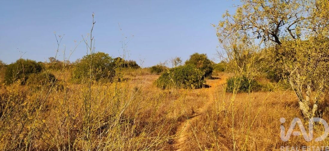 Terreno para Venda em Bensafrim e Barão de São João Foto 28