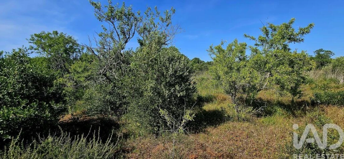Terreno para Venda em Bensafrim e Barão de São João Foto 13