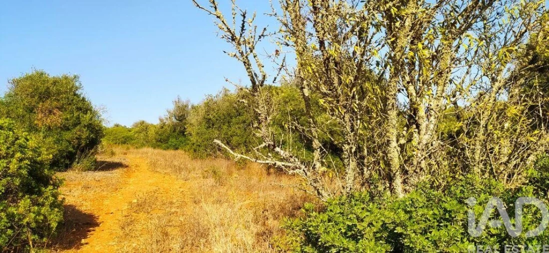 Terreno para Venda em Bensafrim e Barão de São João Foto 26