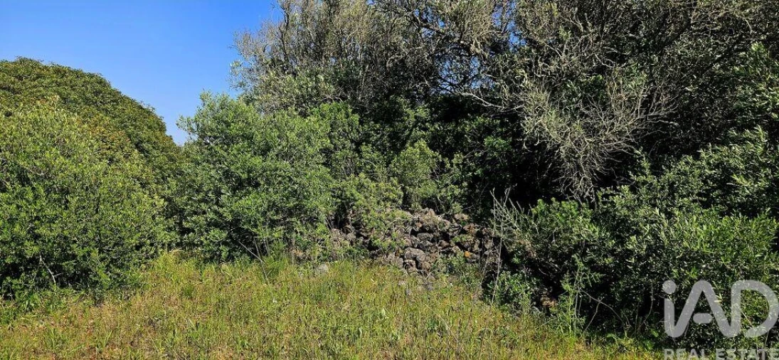 Terreno para Venda em Bensafrim e Barão de São João Foto 21