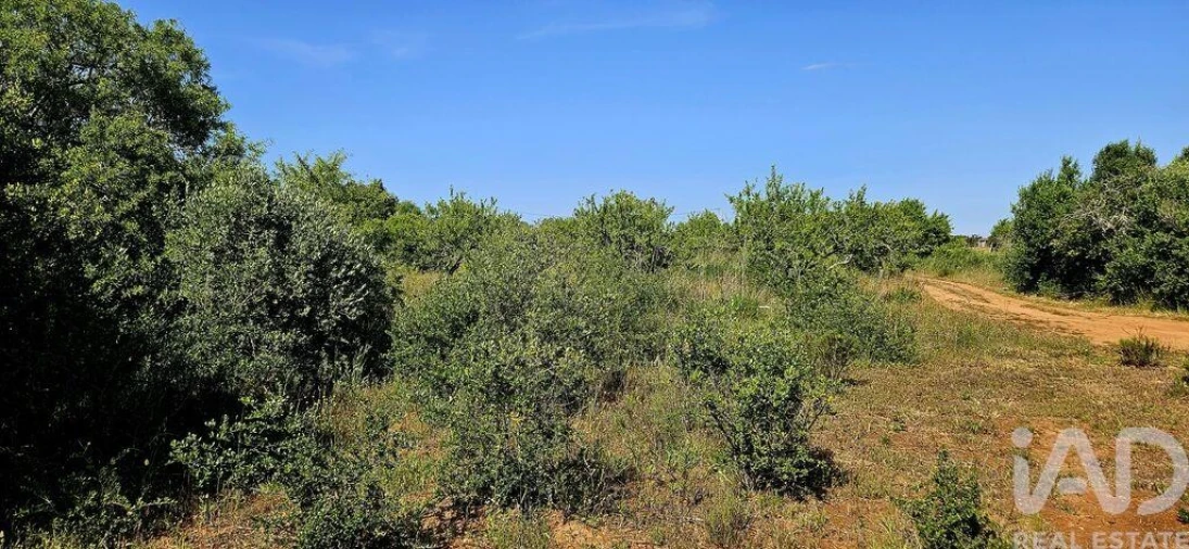 Terreno para Venda em Bensafrim e Barão de São João Foto 15