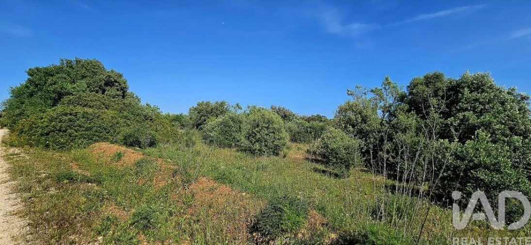 Terreno para Venda em Bensafrim e Barão de São João Foto 11