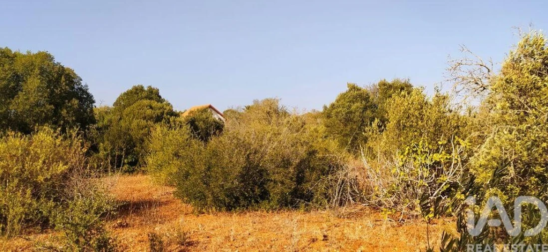 Terreno para Venda em Bensafrim e Barão de São João Foto 19