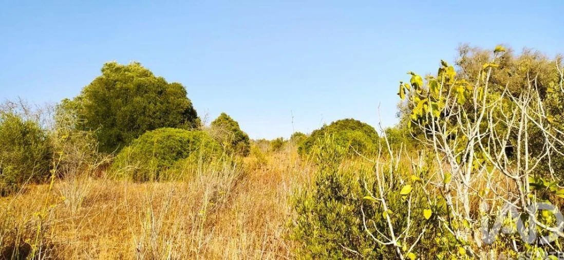 Terreno para Venda em Bensafrim e Barão de São João Foto 20