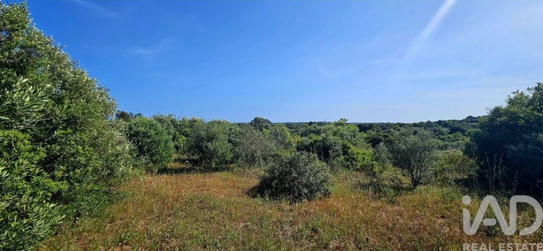 Terreno para Venda em Bensafrim e Barão de São João Foto 9