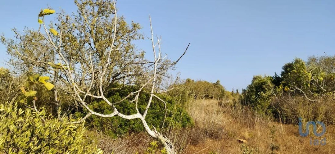 Terreno para Venda em Bensafrim e Barão de São João Foto 7