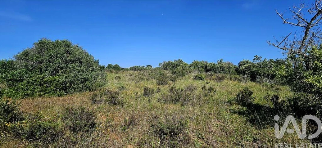 Terreno para Venda em Bensafrim e Barão de São João Foto 25