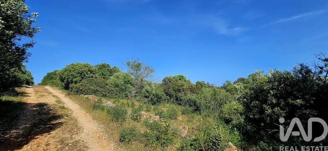 Terreno para Venda em Bensafrim e Barão de São João Foto 7