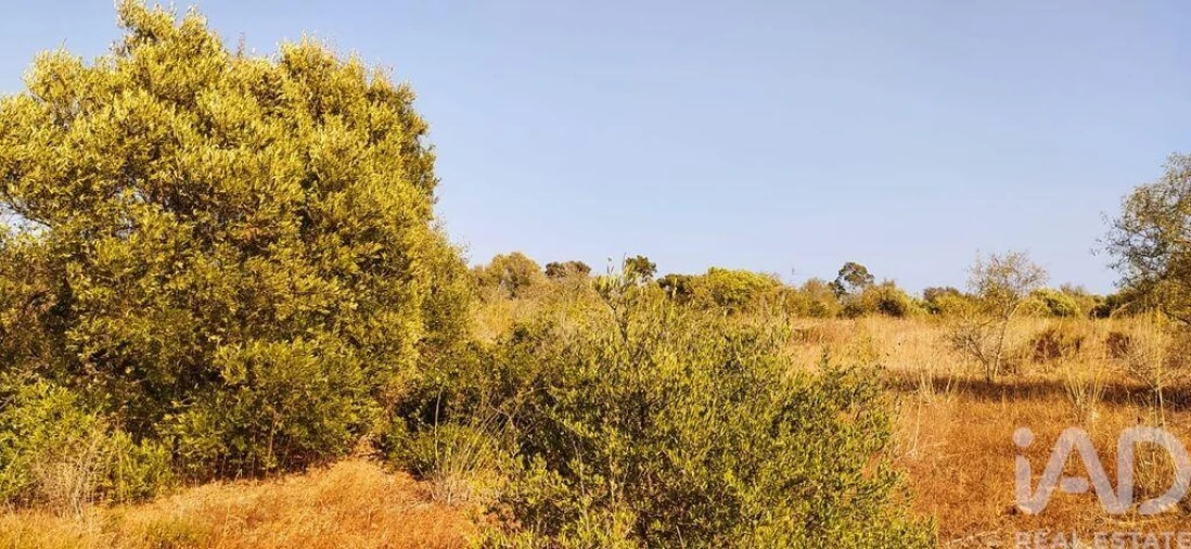 Terreno para Venda em Bensafrim e Barão de São João Foto 16